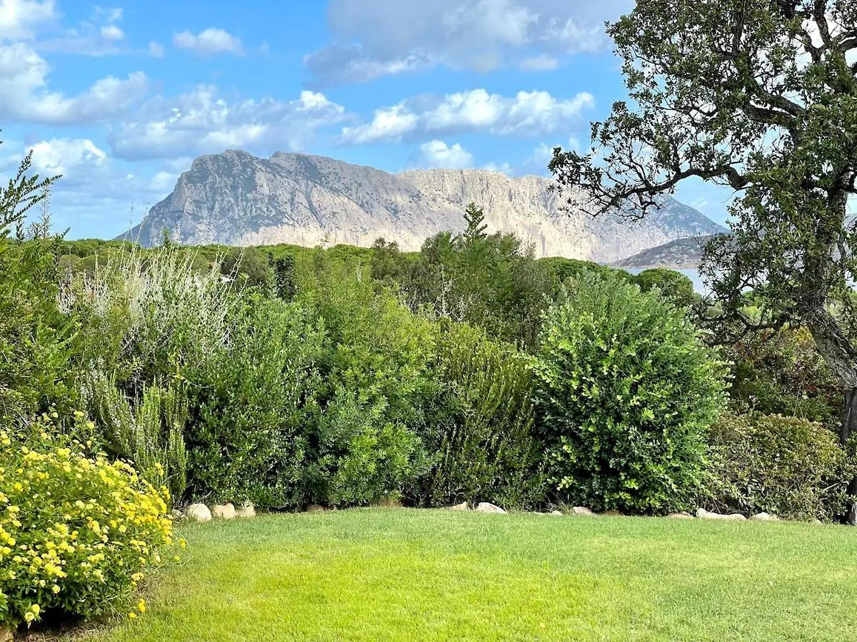 Capo Coda Cavallo Villa Salinedda Giardino Vista Mare 0*, Капо-Кода-Кавальо Италия