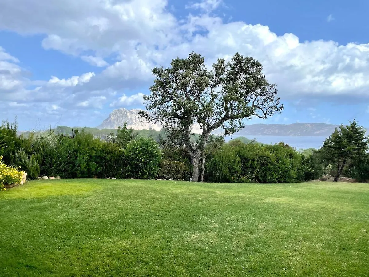 Capo Coda Cavallo Villa Salinedda Giardino Vista Mare Italia
